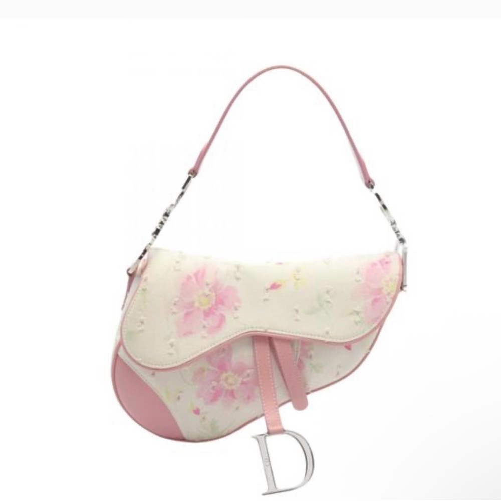Looking for: Dior Saddle bags from 2000’s era !